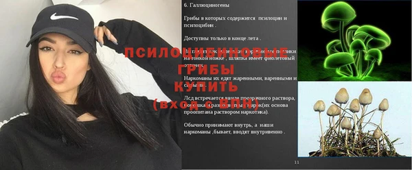 эйфоретик Аркадак