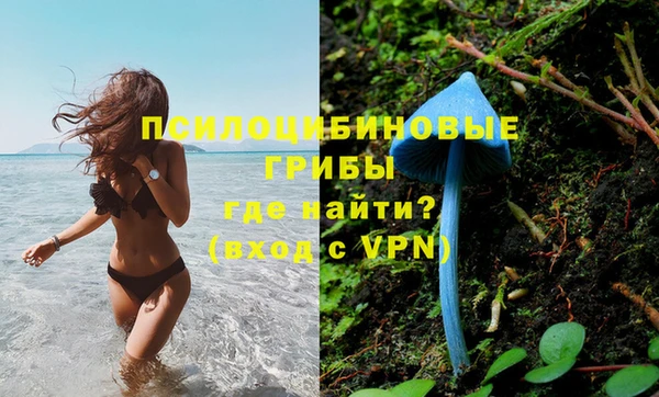 каннабис Арсеньев