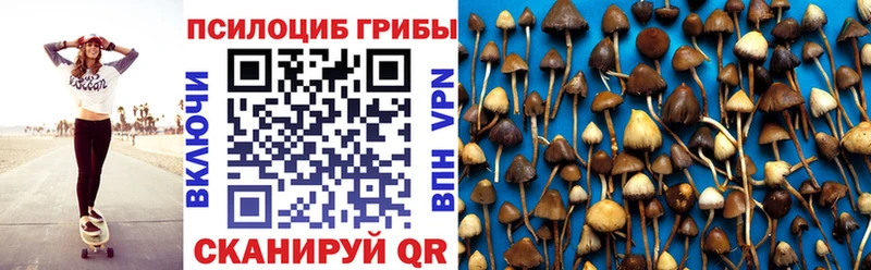 Галлюциногенные грибы Cubensis  Фролово 